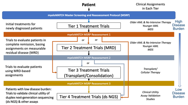 TierPathway