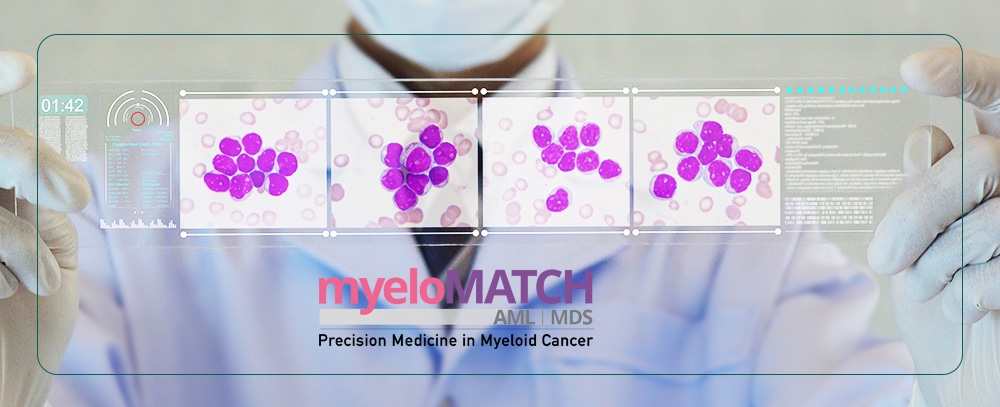 myeloMATCH precision medicine trials in myeloid leukemias open to patient enrollment