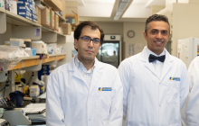 Drs. Raphael, Maleki, and Silverman