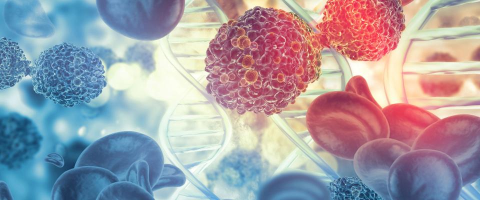 GCAR1CIHR funding announced to study CAR T-cell therapy for patients with GPNMB-Expressing solid tumors