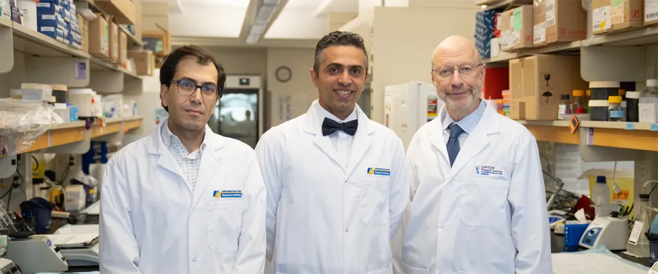 Drs. Raphael, Maleki, and Silverman