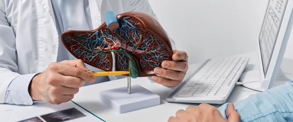 Liver cancer trial HE2 opens across Canada