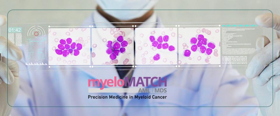 myeloMATCH precision medicine trials in myeloid leukemias open to patient enrollment